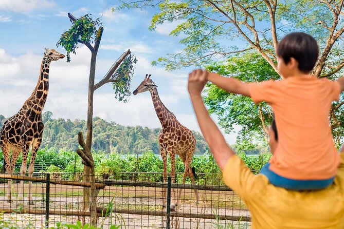 Singapore Zoo - Elephants, tigers, otters, and Komodo dragons