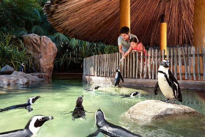 Singapore Zoo - How to use the tram without wasting time