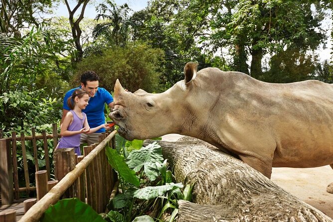 Singapore Zoo - Plan around the 5pm closing time