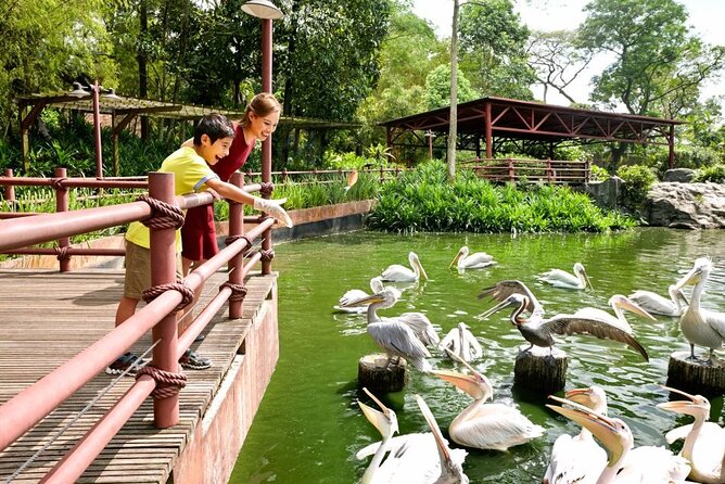 Singapore Zoo - Hotel transfer can simplify the outing