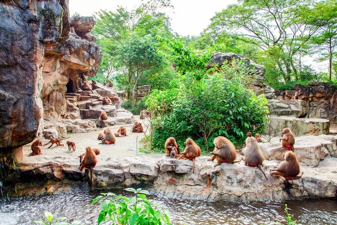 Singapore Zoo - Food, shopping, and the rhythm of the day