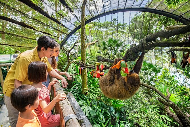 Singapore Zoo Entry Ticket - Singapore Zoo’s open-concept animal habitats