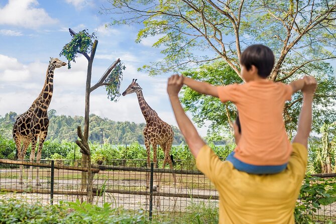 Singapore Zoo Entry Ticket - Jungle Breakfast with Wildlife