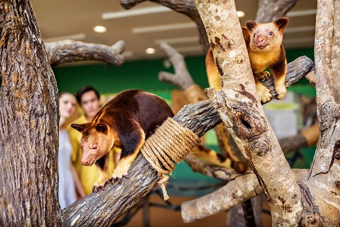 Singapore Zoo Entry Ticket - Shows, keeper talks, and timed activities
