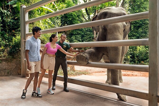 Singapore Zoo Entry Ticket - Walking, weather, and the practical side of the visit