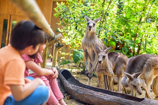 Singapore Zoo Entry Ticket - What the $42.32 admission is worth