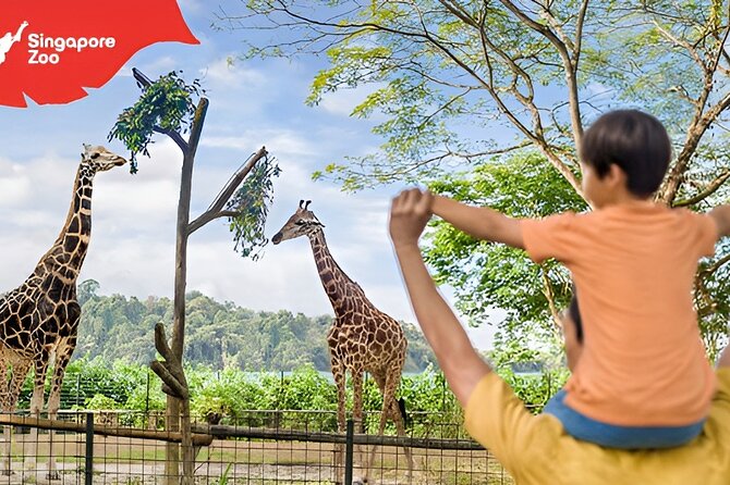 Singapore Zoo Entry Ticket - The walk-through biodome and closer encounters