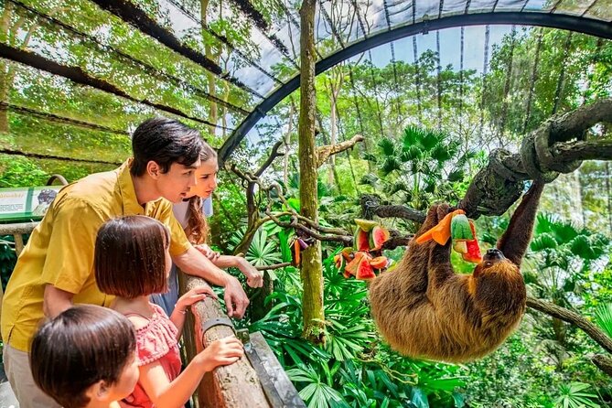 Singapore Zoo & Night Safari Day ( Tickets & Transfer ) - Why this makes a strong Singapore wildlife day