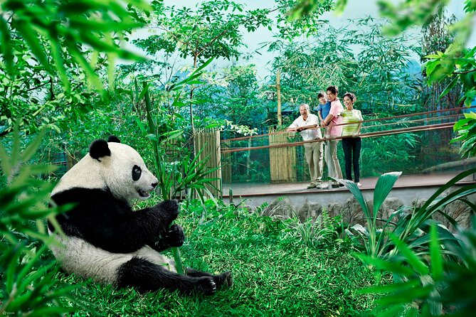 Singapore Zoo & Night Safari Day ( Tickets & Transfer ) - The change from daylight to Night Safari