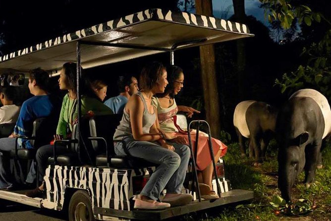 Singapore Zoo & Night Safari Day ( Tickets & Transfer ) - Who will get the most from this day
