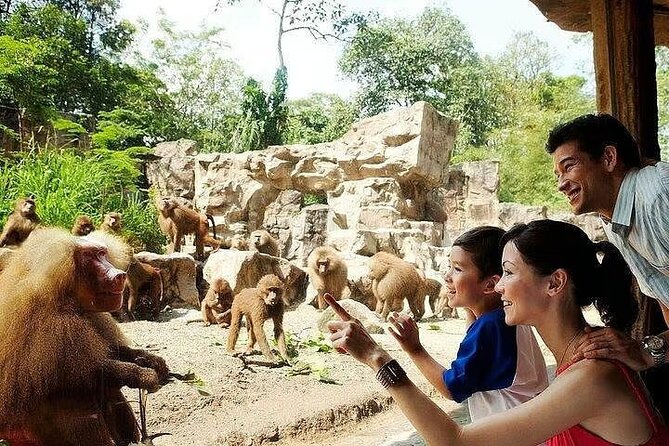 Singapore Zoo with Tram Ride Experience for Tourist - Why the open habitats matter at Singapore Zoo