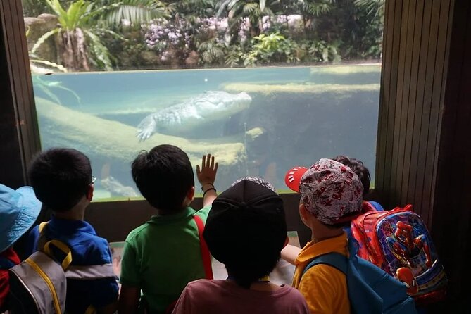 Singapore Zoo with Tram Ride Experience for Tourist - What your four to six hours can look like