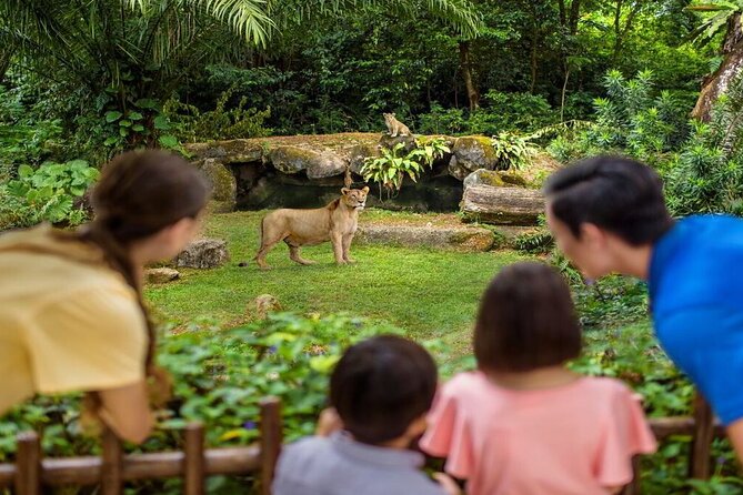 Singapore Zoo with Tram Ride Experience for Tourist - Who will enjoy this zoo experience most?