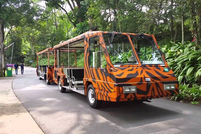 Singapore Zoo with Tram Ride Experience for Tourist - The tram ride: the practical heart of the visit