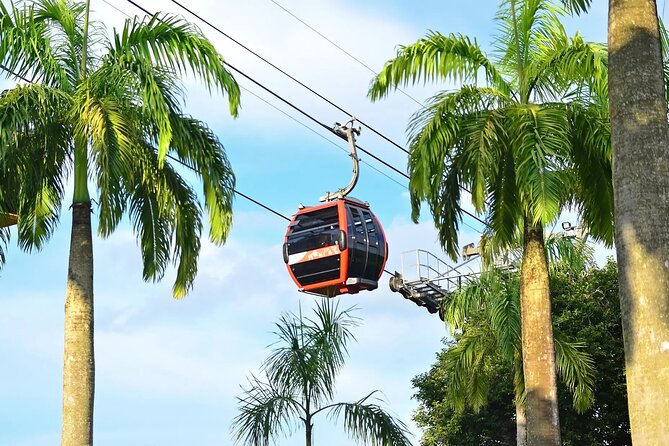 Skip the Line: Singapore Cable Car Sky Pass (Round-Trip) - Seeing Singapore From the Mount Faber Line