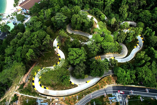 Skyline Luge and Sky Ride Singapore - Who will enjoy Skyline Luge most