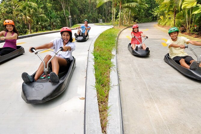 Skyline Luge and Skyride Admission Ticket sentosa Singapore - Who will enjoy this most?