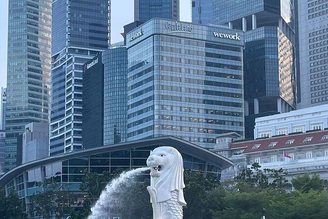 Small Group Full Day Singapore City Tour with Roundtrip Transfers - Singapore Flyer: a high view with a two-hour window