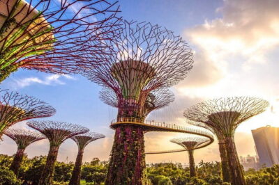Small Group Singapore Morning City Tour with Gardens By The Bay