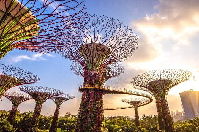 Small Group Singapore Morning City Tour with Gardens By The Bay - Merlion Park and the Marina Bay skyline
