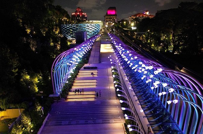 (Small Group) Starry Night Singapore Sentosa Tour - What the guide adds to the evening