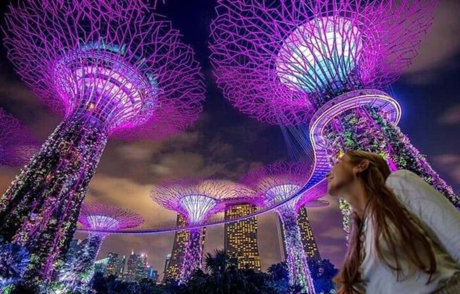 Spectra & Garden Rhapsody Shows with Singapore River Cruise - Why this tour works well for a first Singapore night