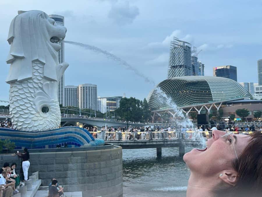 Spectra & Garden Rhapsody Shows with Singapore River Cruise - The 35-minute Singapore River cruise