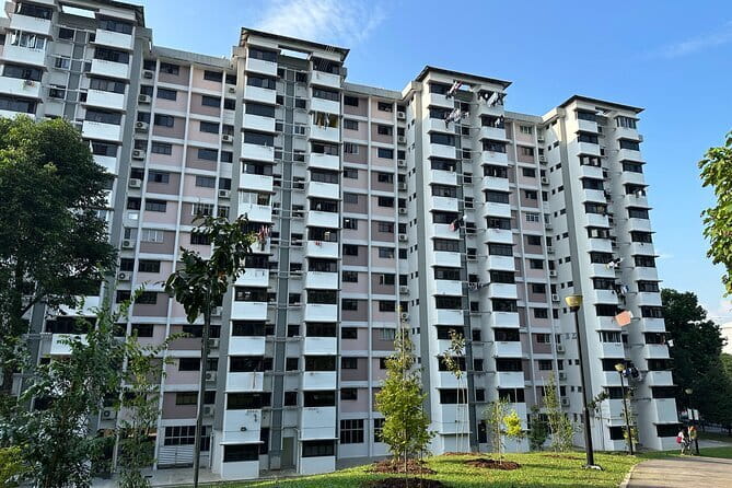 The Real Singapore Heartland Walking Food Tour - Inside a Singapore HDB flat