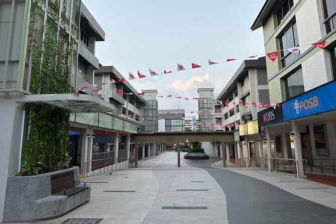 The Real Singapore Heartland Walking Food Tour - Timing, meeting point, and walking comfort